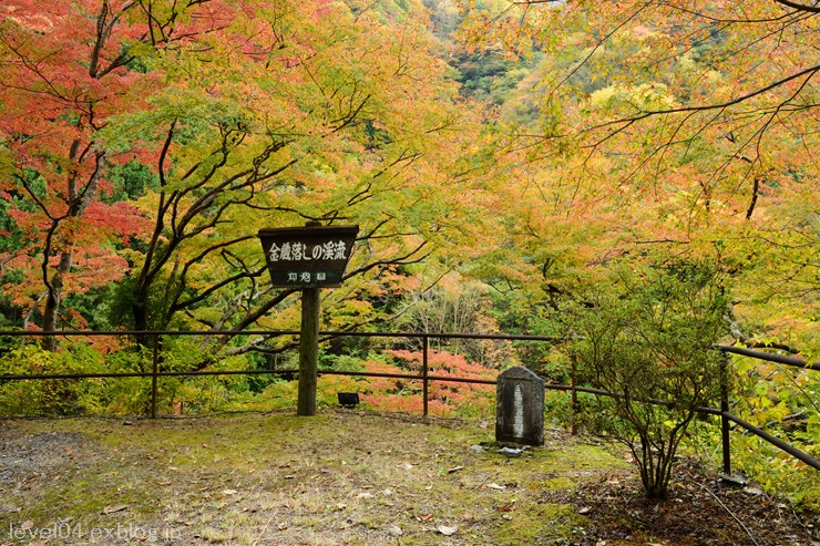 秩父 金蔵落しの渓流 紅葉 Photograph2 秩父 金蔵落しの渓流 紅葉 Photograph2