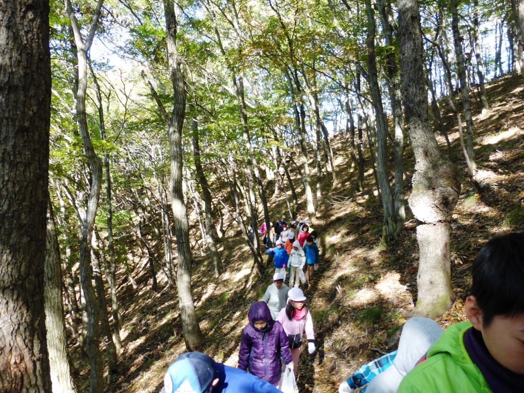 d0024426_9372286.jpg