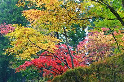 老神＆日光へ紅葉の旅_e0160528_18274089.jpg