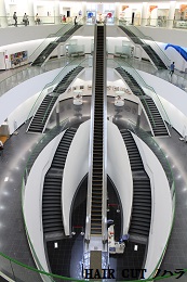 e0145332_1905036.jpg