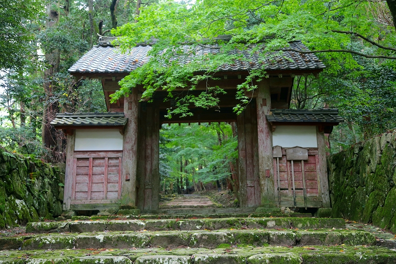 京都・滋賀巡り二日目（３）湖東三山　百済寺｛２｝_f0229832_9314329.jpg