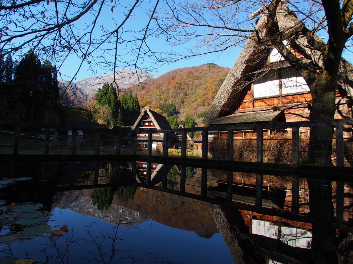 五箇山の紅葉風景 ~ハレは手刀で切る~_a0203733_1310221.jpg