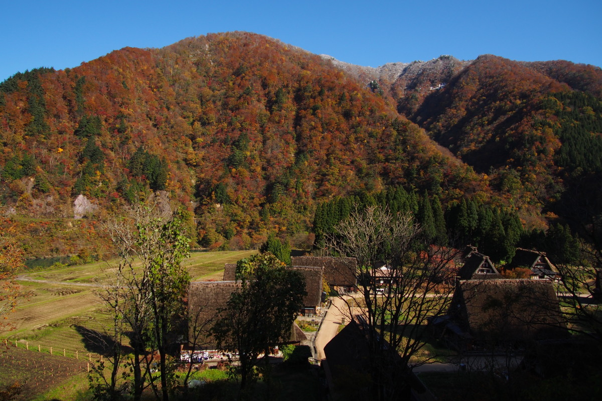 五箇山の紅葉風景 ~ハレは手刀で切る~_a0203733_1394299.jpg