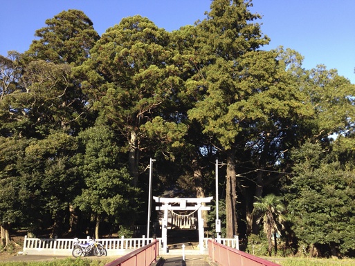 ご近所　稲荷神社にて_c0041935_684344.jpg