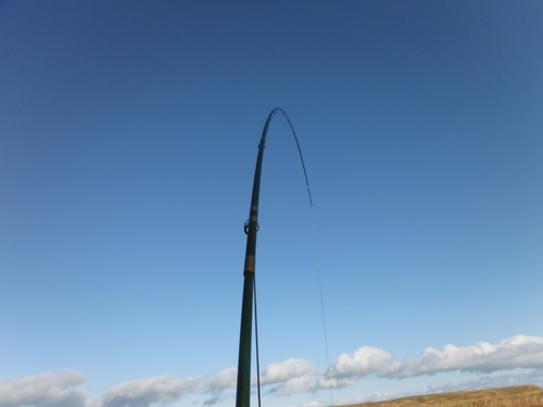 e0262235_2023424.jpg