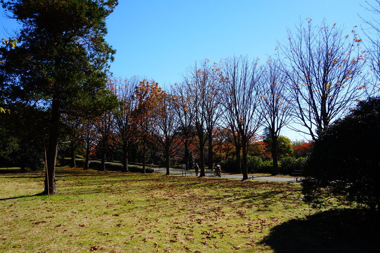 a0287336_1191140.jpg