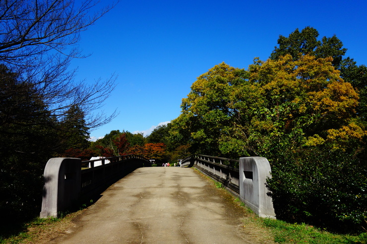 a0287336_127130.jpg