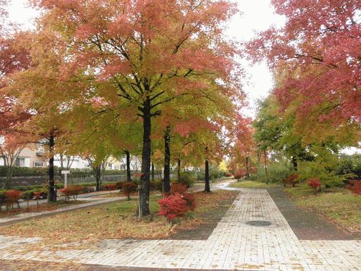 c0136736_17494353.gif