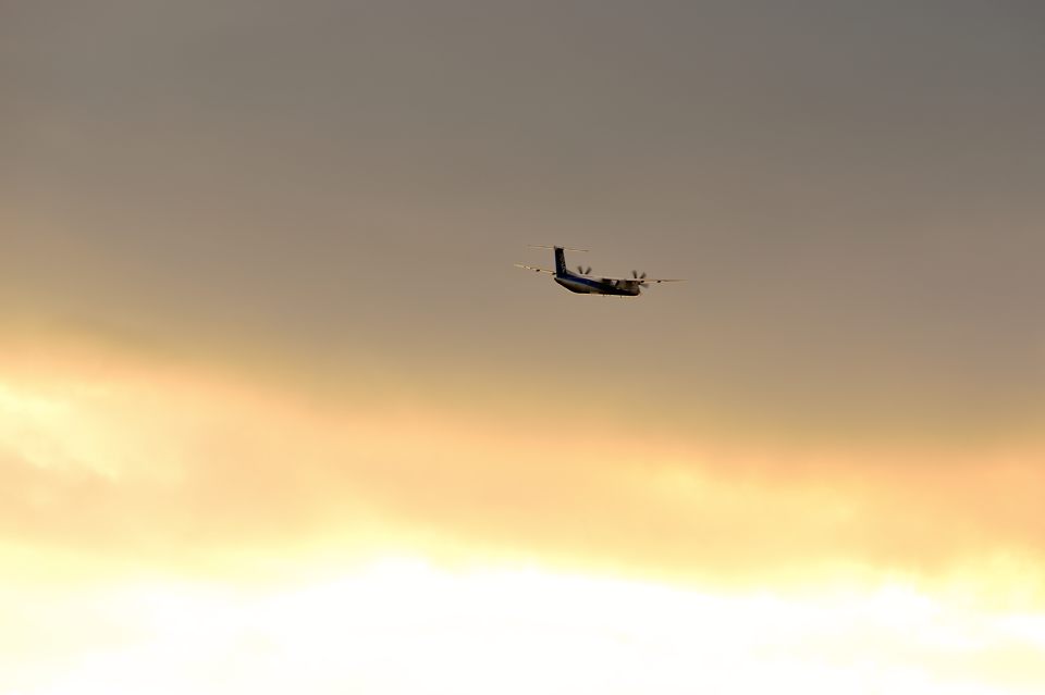 d0172537_22503134.jpg