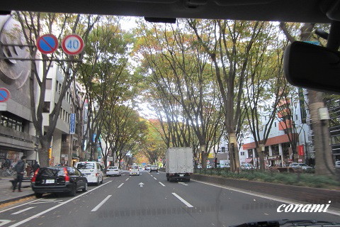 e0291638_1127568.jpg