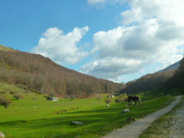d0170140_431213.jpg