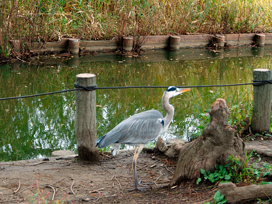 f0209740_11234514.jpg