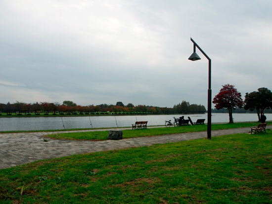 f0209740_11372431.jpg