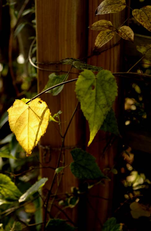 b0075541_12462767.jpg