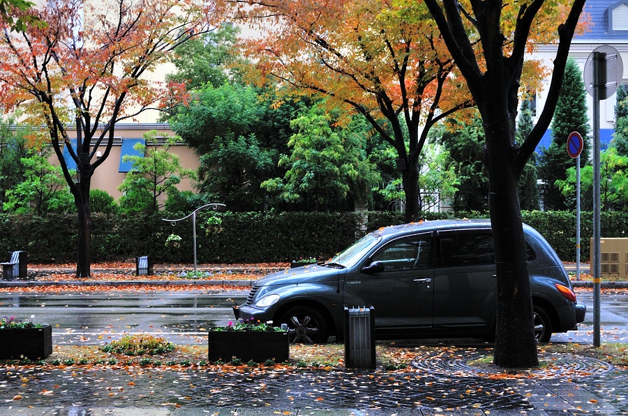雨の日の街角紅葉（通勤撮影）_d0148541_20573077.jpg