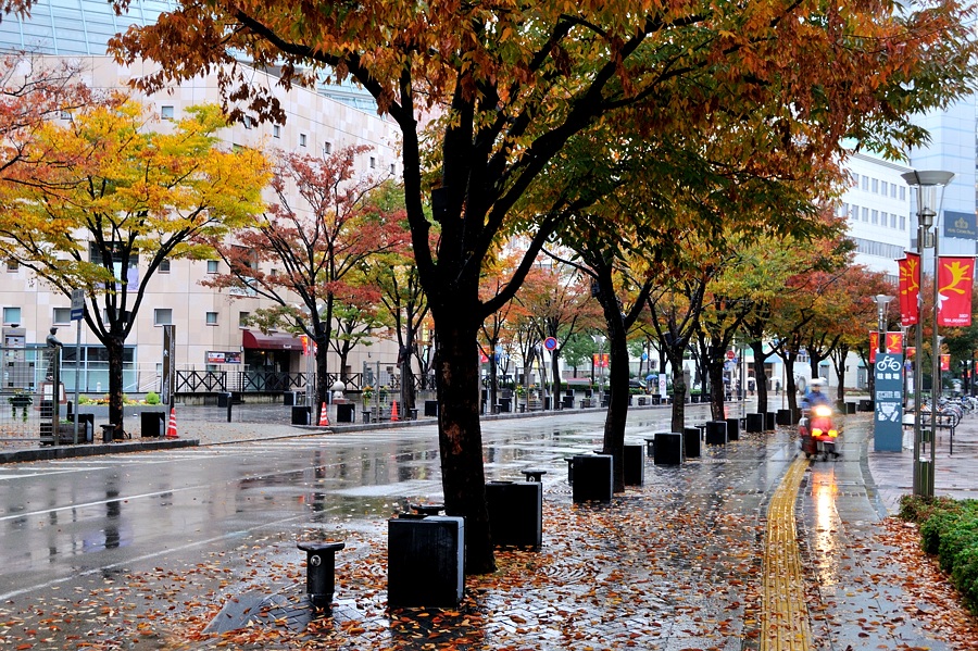 雨の日の街角紅葉（通勤撮影）_d0148541_20573597.jpg