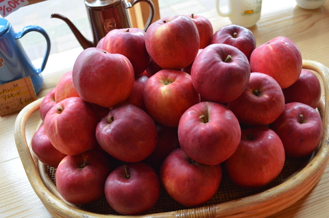 紅玉りんごに雑貨たち。_b0207642_13222796.jpg