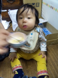 ねこうし帰省_d0073646_23593410.jpg