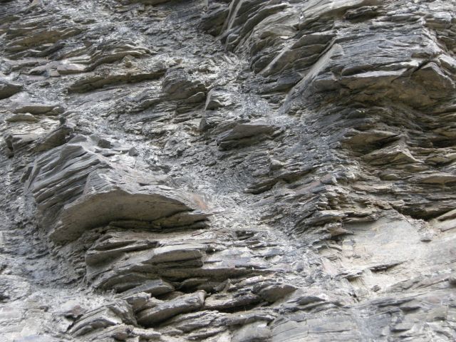 a0089754_1353022.jpg