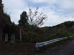 c0208355_13133363.jpg