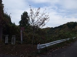 倶利伽羅県定公園周辺紅葉情報_c0208355_13133363.jpg