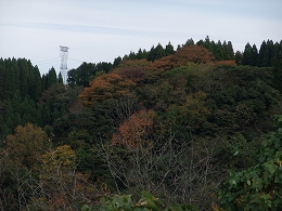 倶利伽羅県定公園周辺紅葉情報_c0208355_13134233.jpg