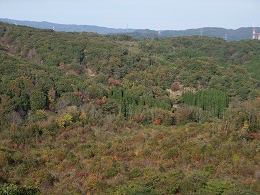 c0208355_1344920.jpg