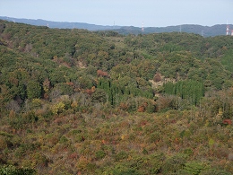 倶利伽羅県定公園周辺紅葉情報_c0208355_1344920.jpg