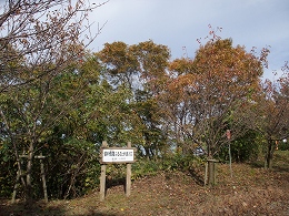 倶利伽羅県定公園周辺紅葉情報_c0208355_1353673.jpg