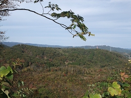 倶利伽羅県定公園周辺紅葉情報_c0208355_136048.jpg