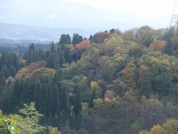 c0208355_1372473.jpg