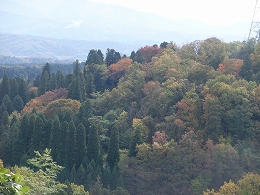 倶利伽羅県定公園周辺紅葉情報_c0208355_1372473.jpg