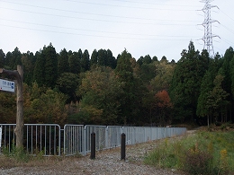 c0208355_1382648.jpg