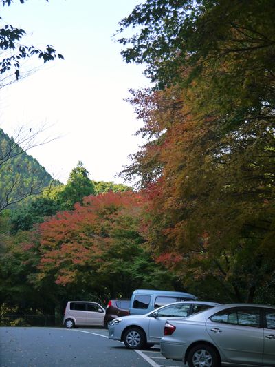 紅葉狩りシーズン到来!! 菊池渓谷の紅葉が見ごろです!_a0254656_1630650.jpg