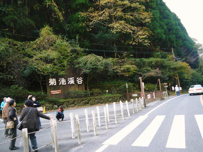 紅葉狩りシーズン到来!! 菊池渓谷の紅葉が見ごろです!_a0254656_1773754.jpg