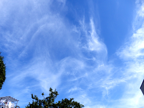 d0218056_1002012.jpg
