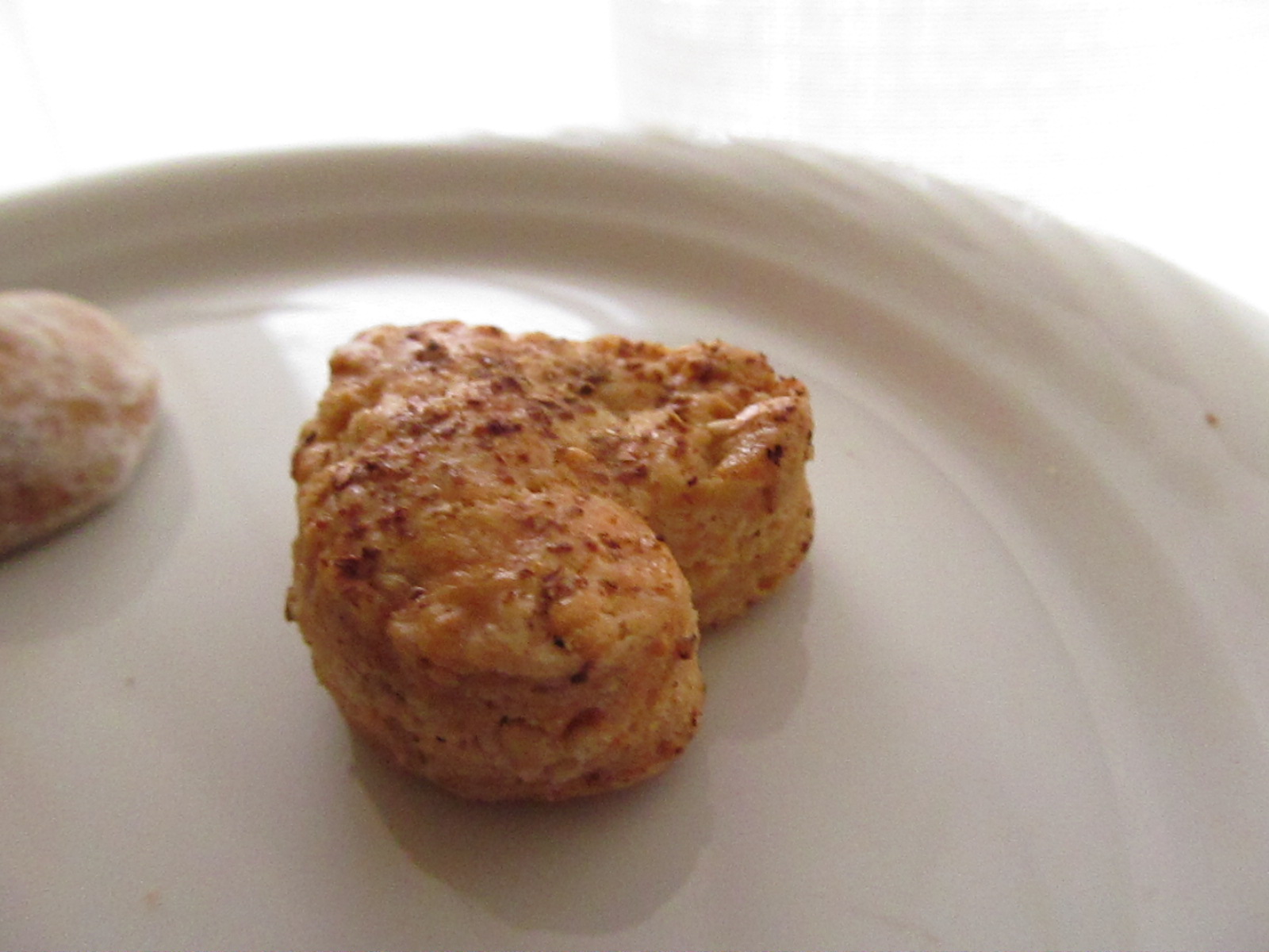 はじまりました京都アートみやげてん*山椒の焼菓子おいし!_f0129557_1434618.jpg