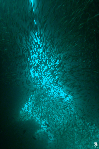 e0158261_1913792.jpg