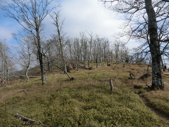 b0185573_14583577.jpg