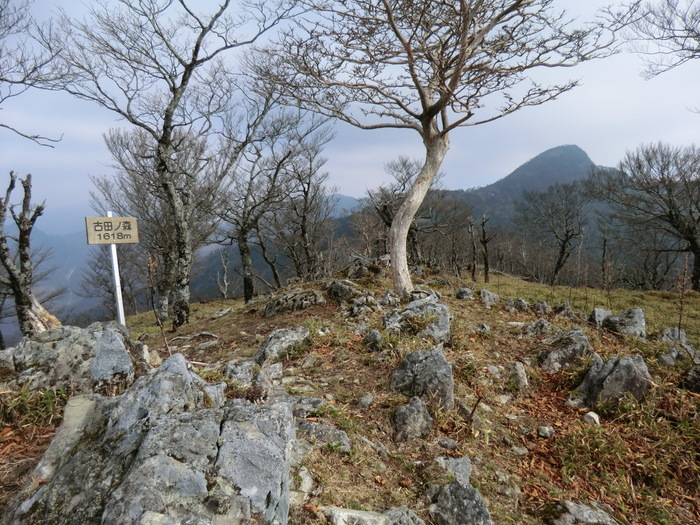 b0185573_1521040.jpg
