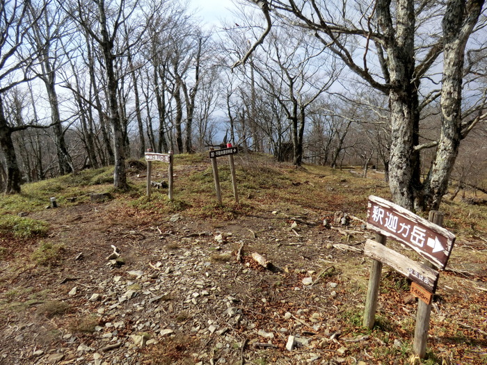 b0185573_1521961.jpg