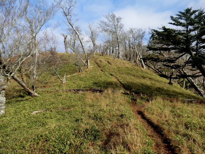 b0185573_1553051.jpg