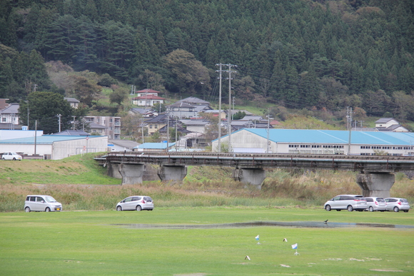 弘南鉄道ふれあい感謝祭と岩手開発鉄道　その11　岩手開発鉄道入換作業_d0187275_19523956.jpg