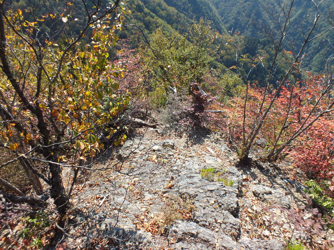 a0040879_21495357.jpg