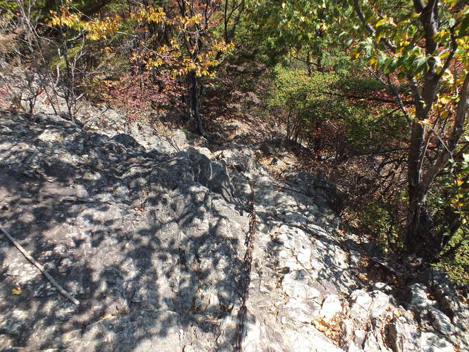 a0040879_2157721.jpg