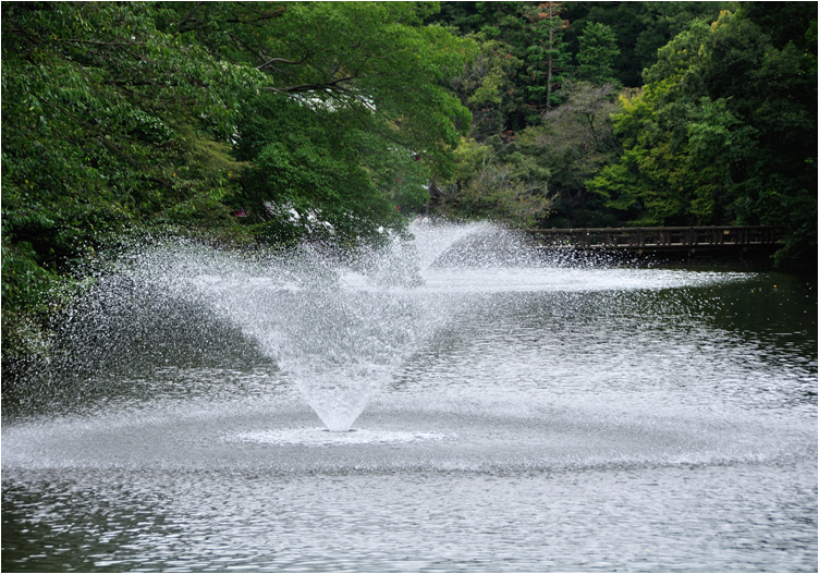 井の頭公園_a0222184_10334442.jpg