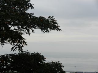2013年11月15日 シュールも好き_b0098584_22415235.jpg