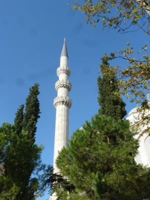 f0169885_05522914.jpg