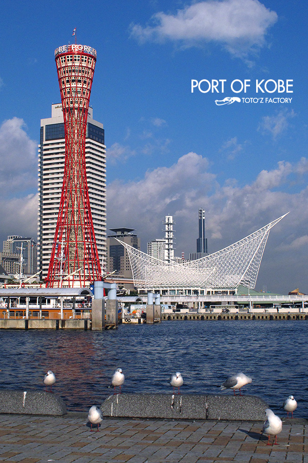 PORT OF KOBE_a0034287_19413171.jpg