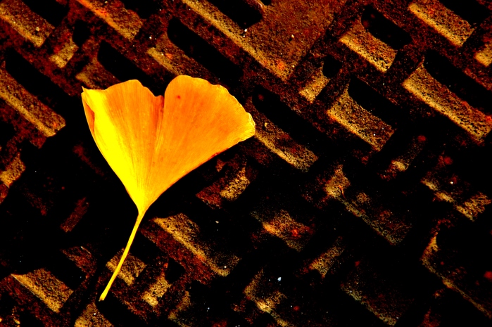 c0246290_9292384.jpg